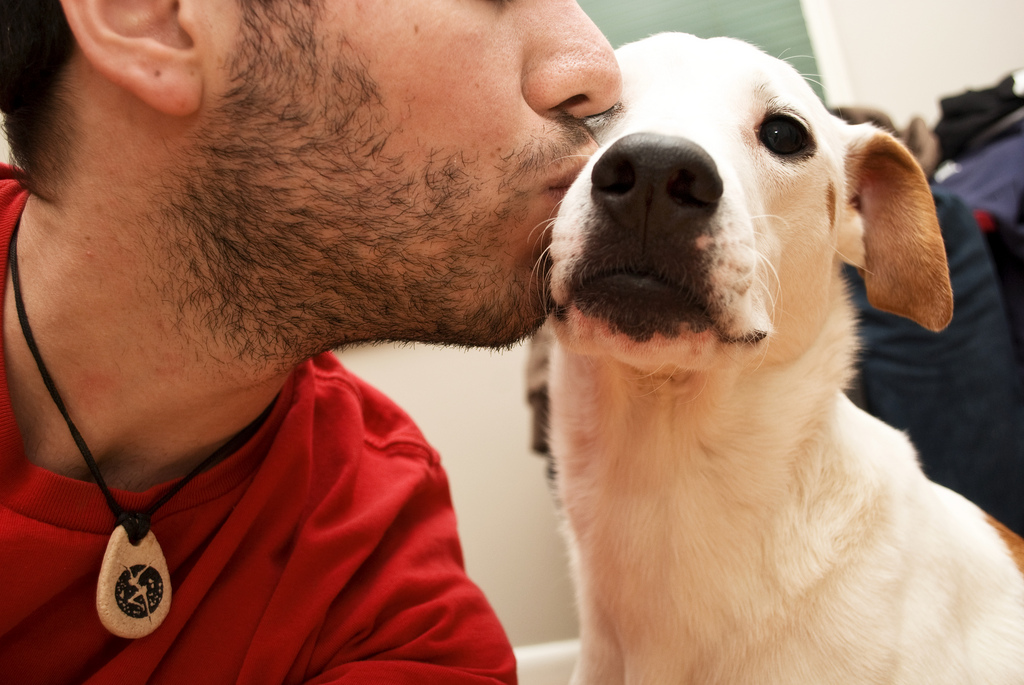 Dating With Animals